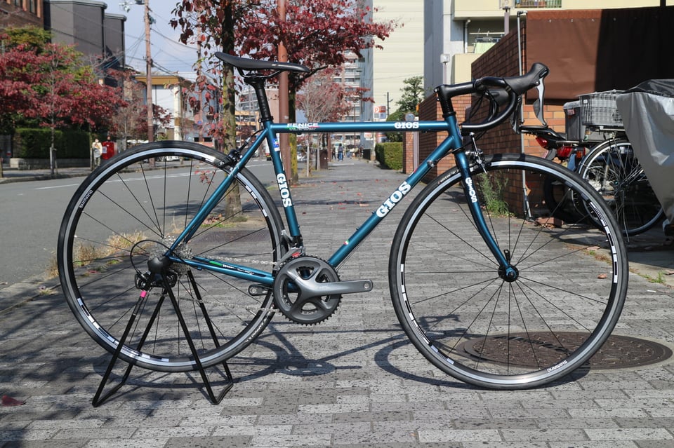 Gios fenice deals