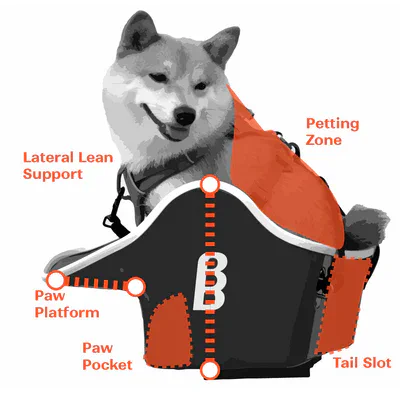 下鴨店】愛犬とどこへ行こう～ 自転車で一緒にお出かけ『Canine